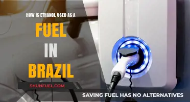 Brazil's Ethanol Revolution: Powering Vehicles with Renewable Fuel