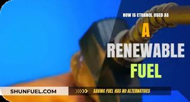 Ethanol's Role in Sustainable Energy: A Renewable Fuel Solution