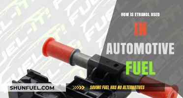 Ethanol's Role in Enhancing Automotive Fuel Performance and Sustainability
