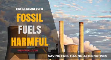 Excessive Fossil Fuel Use: Devastating Impacts on Our Planet and Health
