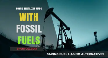 Fossil Fuels to Fertilizer: Uncovering the Industrial Production Process