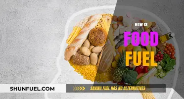 Food as Fuel: How Nutrition Powers Your Body and Mind