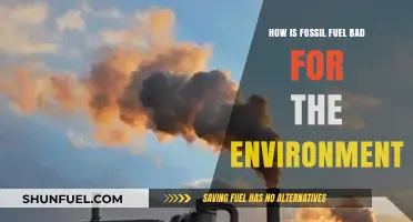 Fossil Fuels' Devastating Impact: Pollution, Climate Change, and Environmental Destruction