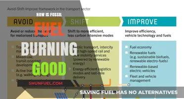 Fossil Fuel Burning: Unveiling Unexpected Benefits and Modern Applications