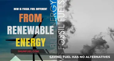Fossil Fuels vs. Renewables: Key Differences in Energy Sources