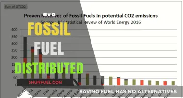 Global Fossil Fuel Distribution: Pipelines, Ships, and Supply Chains Explained