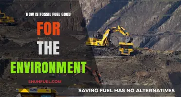 Fossil Fuels' Surprising Environmental Benefits: A Balanced Perspective