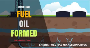 The Ancient Origins of Fossil Fuel Oil: A Geological Journey