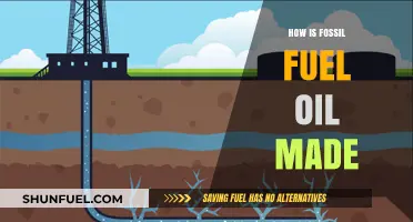From Ancient Organisms to Energy: The Formation of Fossil Fuel Oil