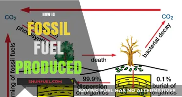 The Making of Fossil Fuels: A Complex Process