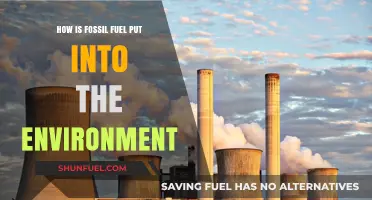 Fossil Fuel Extraction: Environmental Impact and Pollution Processes Explained