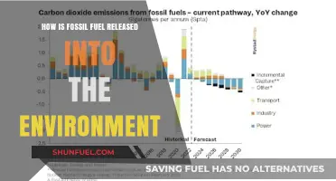 Fossil Fuel Emissions: Understanding Environmental Release and Impact