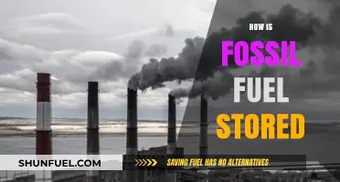 Understanding Fossil Fuel Storage: Methods, Locations, and Environmental Impact