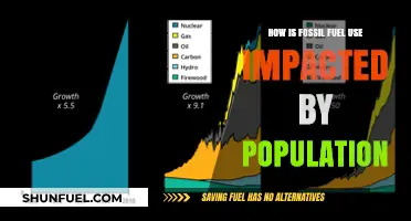 Population Growth's Impact on Fossil Fuel Consumption and Sustainability