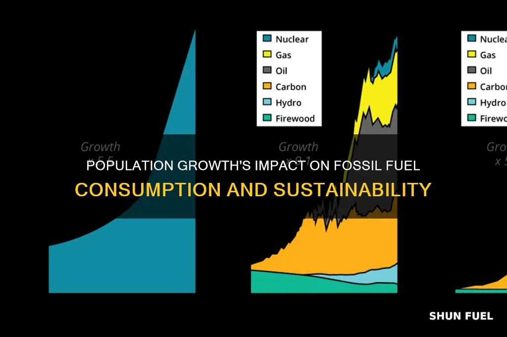 how is fossil fuel use impacted by population