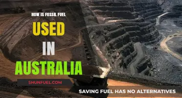 Australia's Fossil Fuel Usage: Powering Industries and Energy Needs