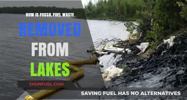 Effective Methods for Removing Fossil Fuel Waste from Lakes