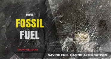 Understanding Fossil Fuels: Formation, Impact, and Sustainable Alternatives