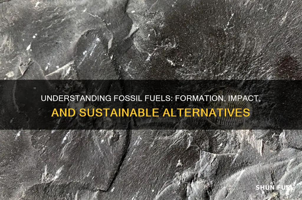 how is fossil fuel