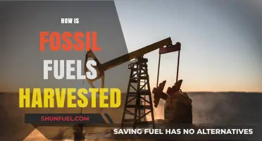 Extracting Energy: The Process of Harvesting Fossil Fuels Explained