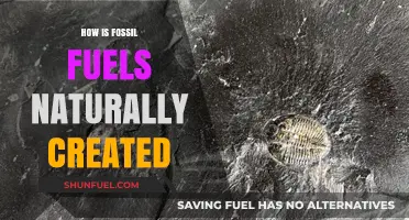 The Ancient Process: How Fossil Fuels Are Naturally Formed Over Millennia