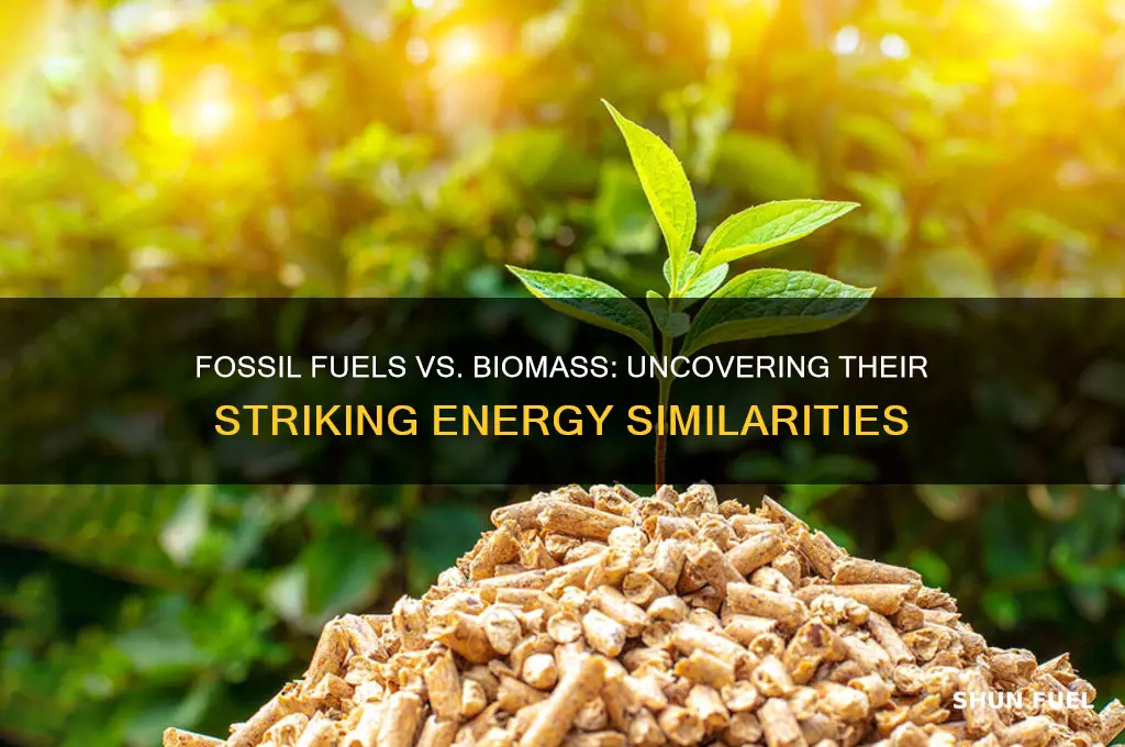 how is fossil fuels similar to biomss