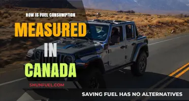 Understanding Canada's Fuel Efficiency Standards and Consumption Measurement