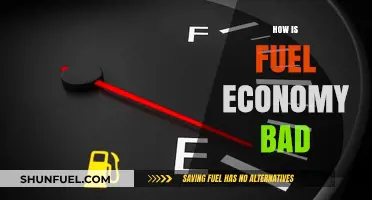 Why Poor Fuel Economy Harms Your Wallet and the Environment