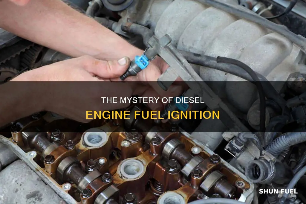 how is fuel ignited in a warm diesel engine