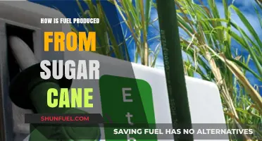From Cane to Combustion: The Sweet Science of Sugarcane Fuel Production