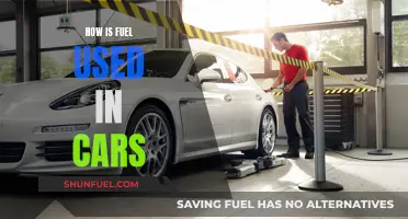 The Evolution of Fuel Usage in Cars