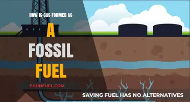 How Ancient Organisms Transform into Natural Gas: Fossil Fuel Formation Explained