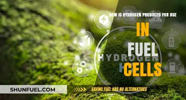 Hydrogen Production Methods for Fuel Cells: Processes and Applications