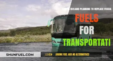 Iceland's Green Revolution: Electric Future for Transportation