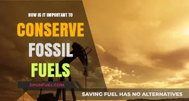 Why Conserving Fossil Fuels is Crucial for a Sustainable Future
