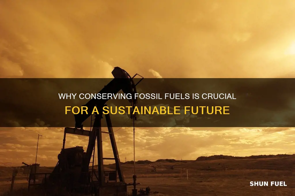 how is it important to conserve fossil fuels