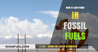 Uncovering the Hidden Presence of Lead in Fossil Fuels