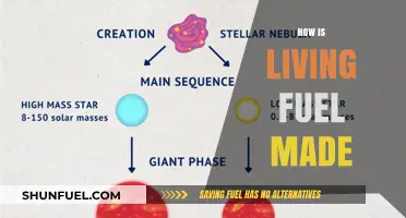 Creating Living Fuel: The Sustainable Process Explained Simply