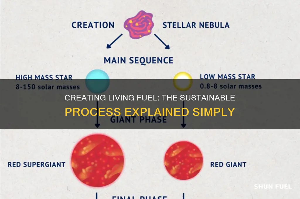 how is living fuel made