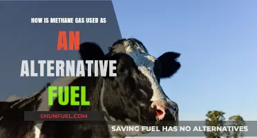 Methane Gas: A Sustainable Alternative Fuel for a Greener Future