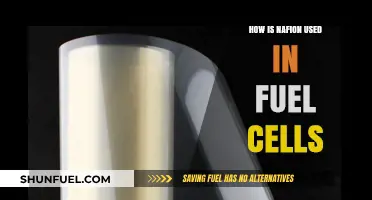 Nafion's Role in Enhancing Fuel Cell Efficiency and Performance