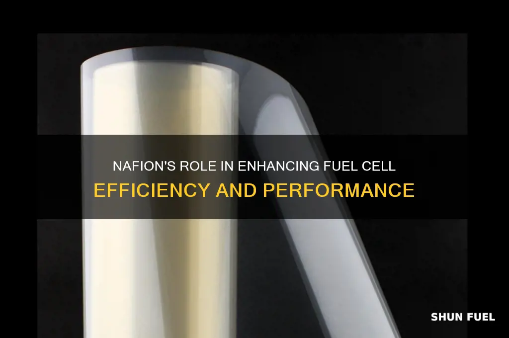 how is nafion used in fuel cells
