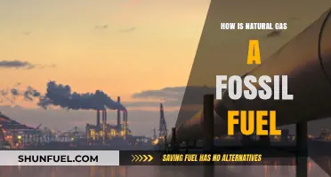 Understanding Natural Gas: Its Fossil Fuel Origins and Energy Role