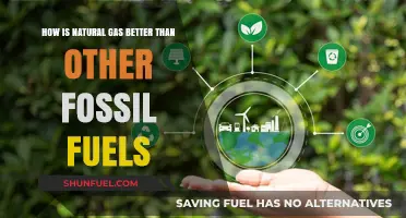 Natural Gas: A Cleaner, More Efficient Fossil Fuel Alternative