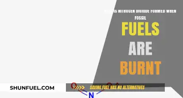 Fossil Fuel Combustion: The Formation of Nitrogen Dioxide Explained
