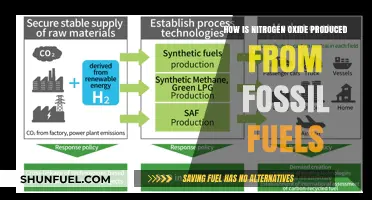 Fossil Fuels and Nitrogen Oxide: Understanding the Production Process