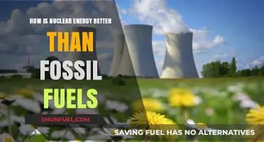 Nuclear Energy: A Cleaner, Greener Alternative to Fossil Fuels