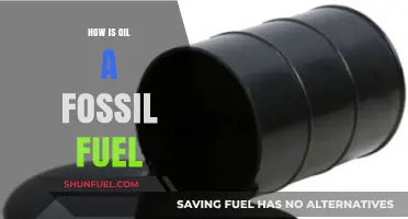 Understanding Oil: The Ancient Origins of This Essential Fossil Fuel