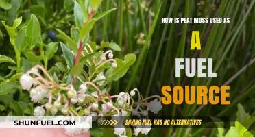 Peat Moss as Fuel: Sustainable Energy Source or Environmental Concern?