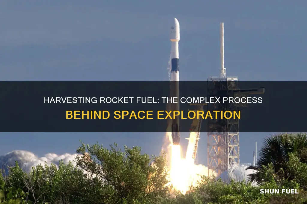 how is rocket fuel harvested